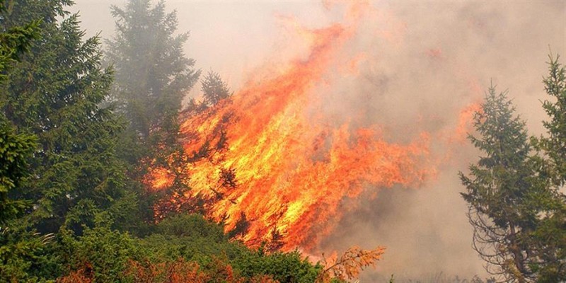 Δύο νέες φωτιές σε Μακρακώμη και Ωραία Ελένη Κορινθίας