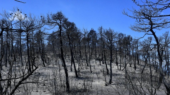 Κυβερνητικό κλιμάκιο στο Αλεποχώρι για την αποτίμηση των καταστροφών