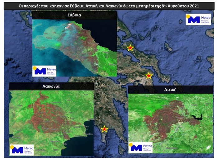 Εύβοια, Αττική, Λακωνία: Στάχτη πάνω από 650.000 στρέμματα