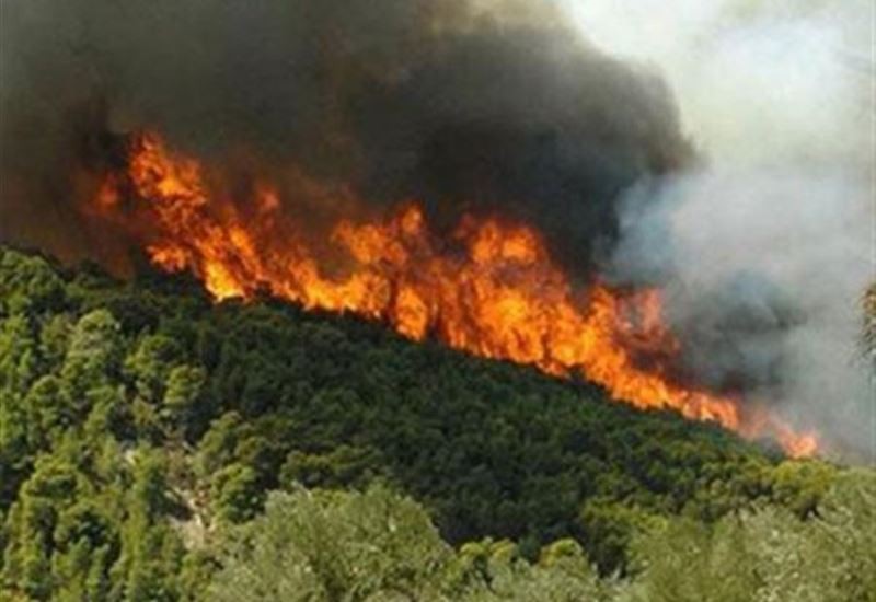 Το τελευταίο 24ωρο ξέσπασαν 45 δασικές πυρκαγιές στην Ελλάδα