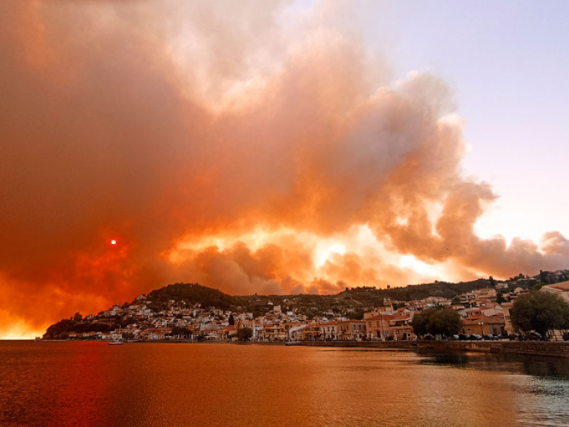 Meteo: Τo 1/3 των δασών της Εύβοιας κάηκε από την πρόσφατη πυρκαγιά