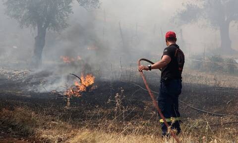 Λαμία: Δύο πυρκαγιές στη Φθιώτιδα