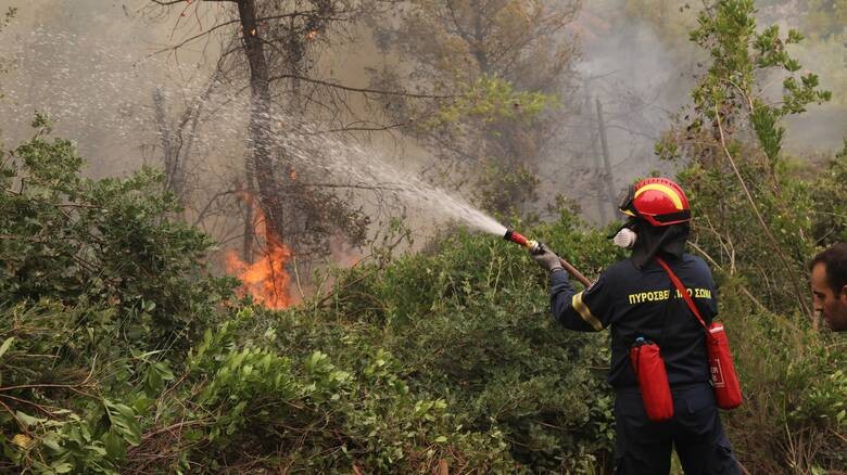 Μικρές εστίες φωτιάς στη Γορτυνία