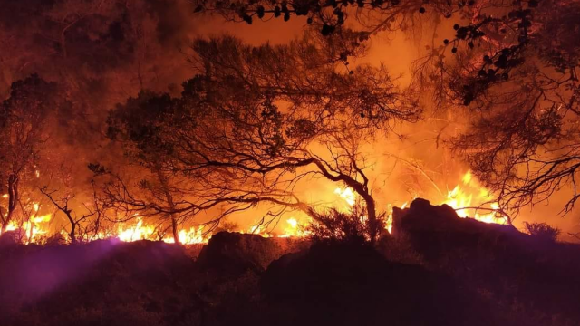 Σε ύφεση τα μέτωπα της πυρκαγιάς στη Ρόδο