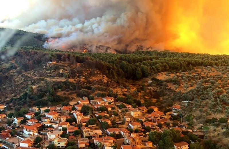 Αστεροσκοπείο Αθηνών: Πτωχώτερη κατά 930.000 στρέμματα δασών η Ελλάδα