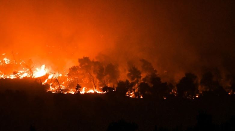 Φωτιά στη Φθιώτιδα:  Δεν υπάρχουν πια ενεργές εστίες