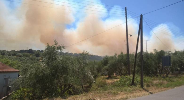 Μεσσηνία: Συνεχίζεται η μάχη με τις φλόγες στο Βασιλίτσι