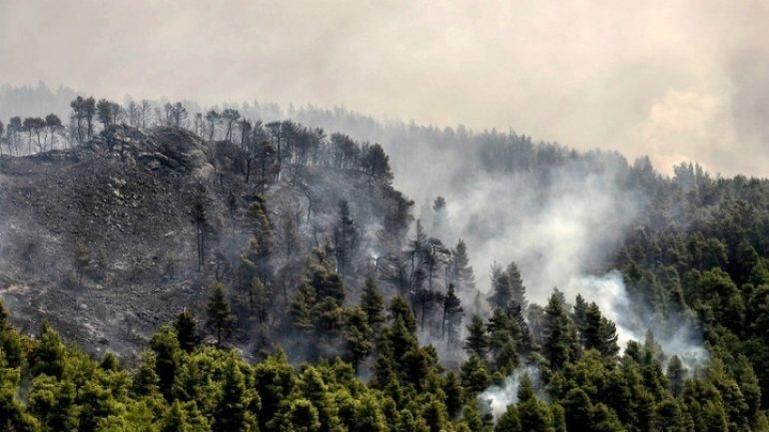 Βουλγαρία: Δυο νεκροί σε δασικές πυρκαγιές στη χώρα