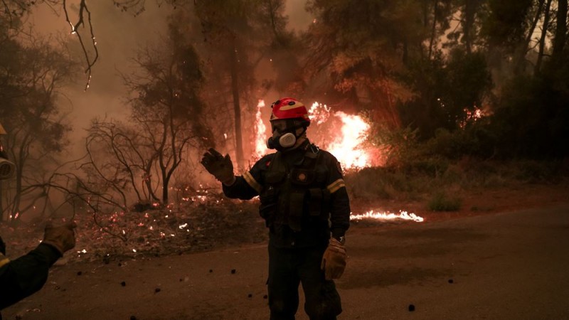 Υπό έλεγχο η φωτιά στο Μετόχι Ευβοίας και στο Αργάσι Ζακύνθου