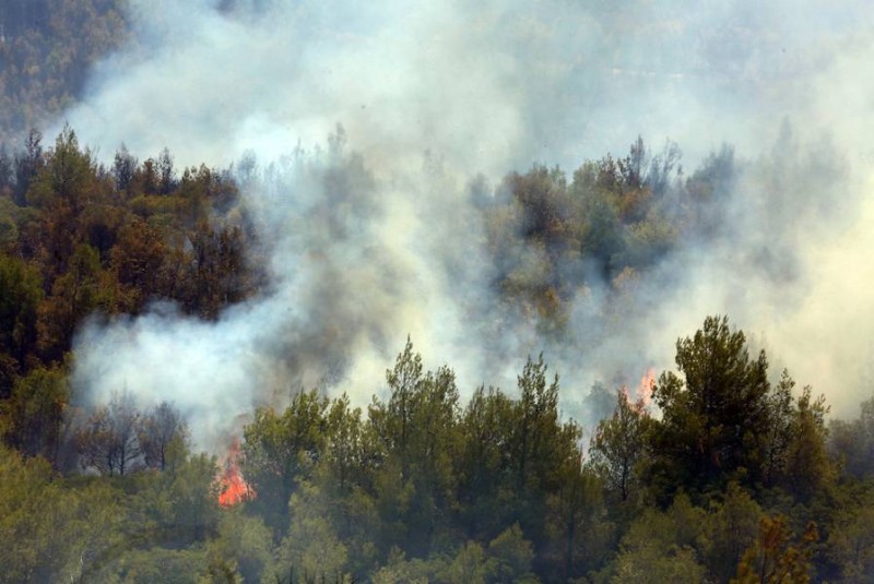 Βίλια- Πυρκαγιά: Στο νότιο μέτωπο όλες οι δυνάμεις για προστασία του κάμπου Μεγάρων  (upd 21.35)