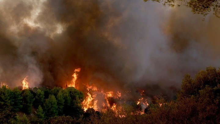 Πυρκαγιά από την Αλβανία πέρασε προς Θεσπρωτία