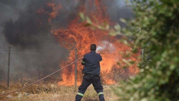 Πυρκαγιά σε δασική έκταση στην Ανάβυσσο