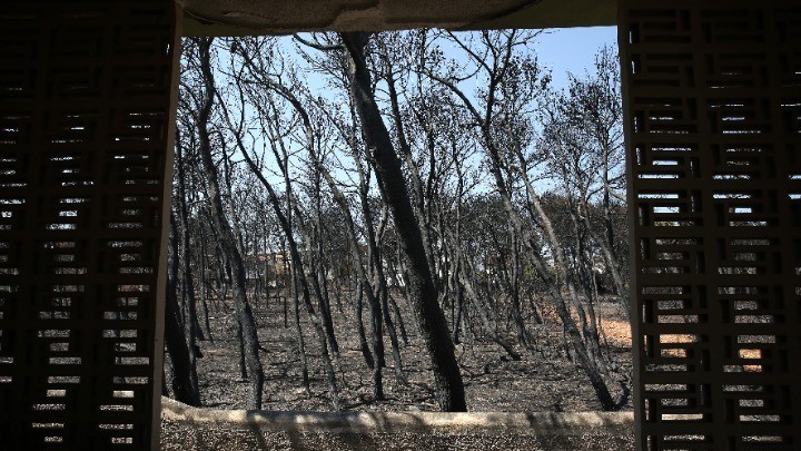 Ποιους καθίζει στο σκαμνί ο Εισαγγελέας για τη φονική πυρκαγιά στο Μάτι