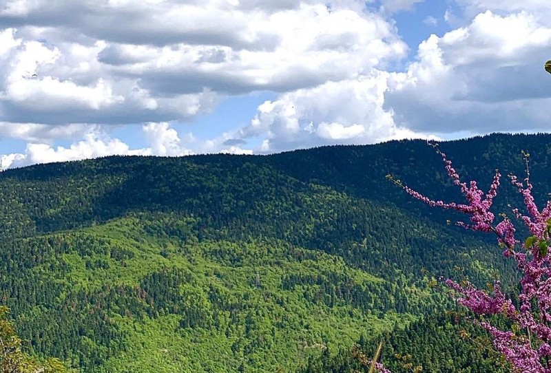 Στην Ελλάδα το βραβείο Natura 2000 για την προστασία χερσαίων εκτάσεων