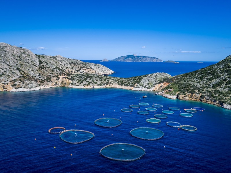Κομισιόν: Κονδύλια 363.7 εκατ. ευρώ στην Ελλάδα για την αλιεία και την υδατοκαλλιέργεια