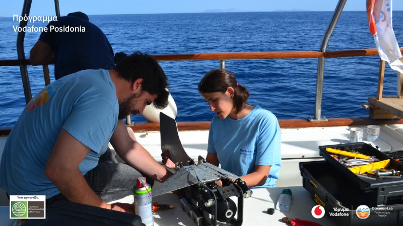 Η Vodafone Posidonia: Στην «επιφάνεια» περισσότερα υποθαλάσσια λιβάδια Ποσειδωνίας